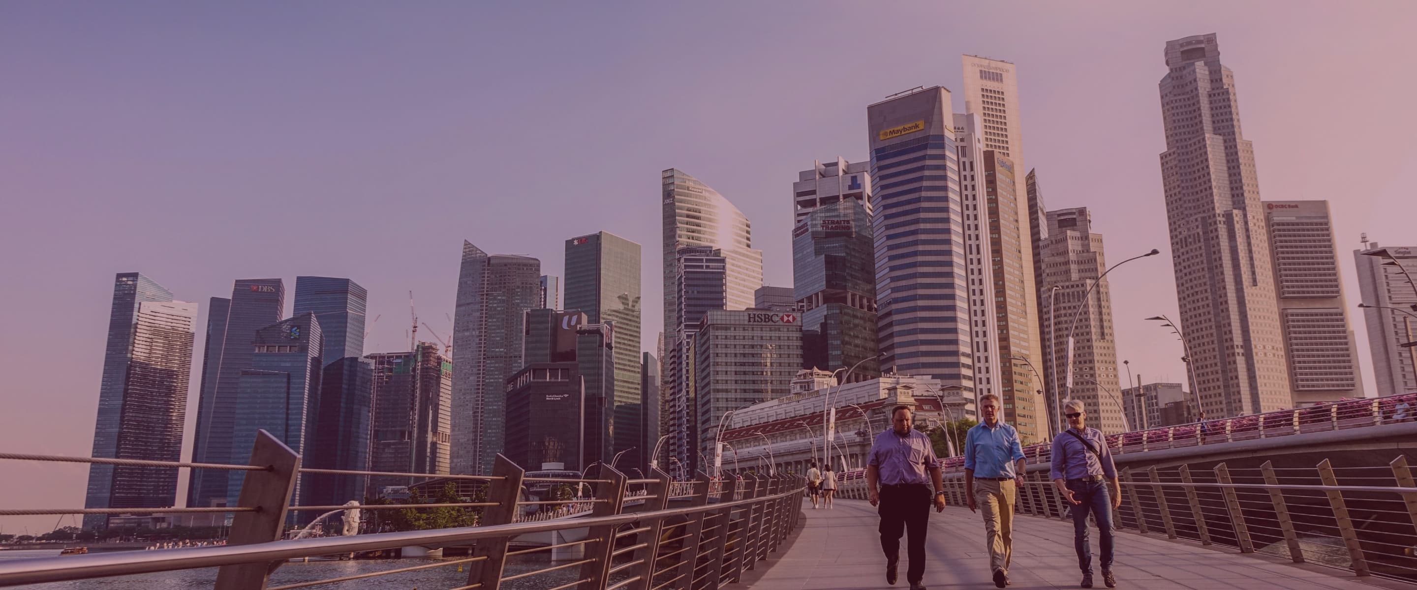 Pegasus Utility Services offer a range of undefined services