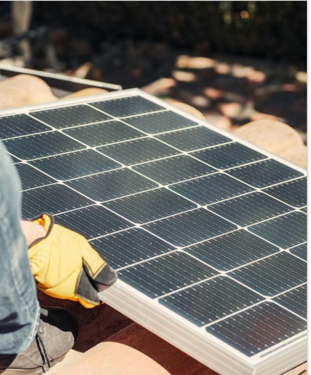 quality-management Services