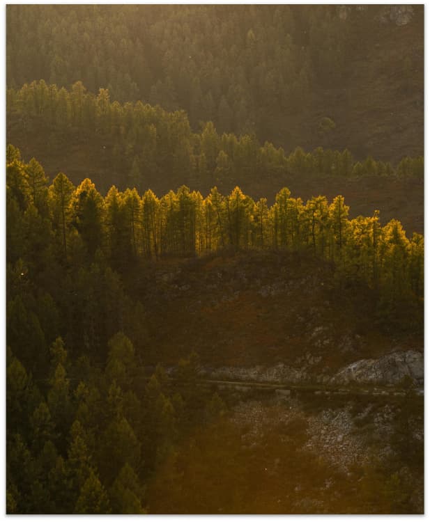 renewable energy Services